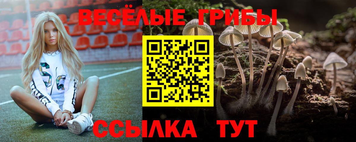 Галлюциногенные грибы Psilocybe Людиново