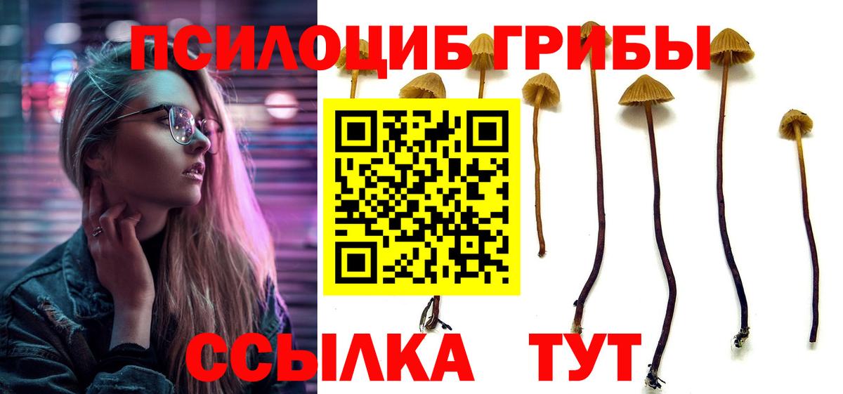 Галлюциногенные грибы Cubensis  Вход с VPN  Людиново 