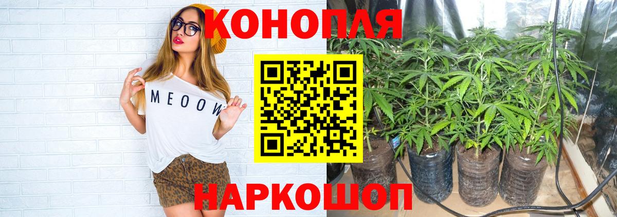 Конопля Bruce Banner  Каннабис конопля  Вход с VPN  Людиново  Конопля Ganja  МАРИХУАНА OG Kush 
